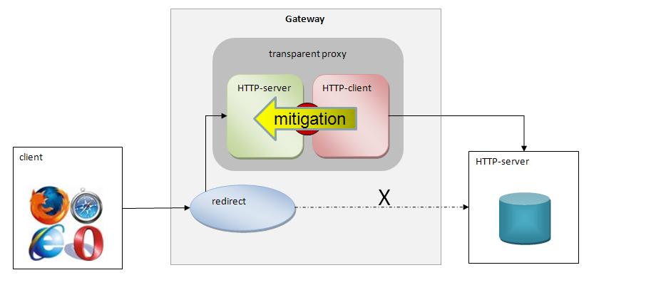 Transparent Proxy